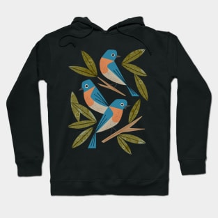 Bluebirds Hoodie